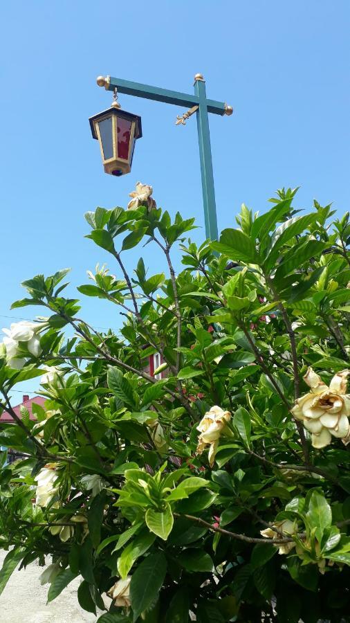 Guest House On Kostava 23 كوبوليتي المظهر الخارجي الصورة